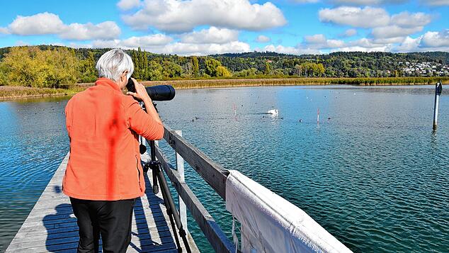 Lucia Fuchs zählt für die Ornithologische Arbeitsgemeinschaft Vögel zwischen dem Zollhaus in Ludwigshafen und der Marienschlucht und ...